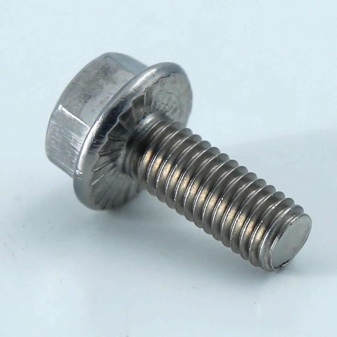 Standard Hex Flange Bolt, DIN 6921, Ifi-111, Accept Customize