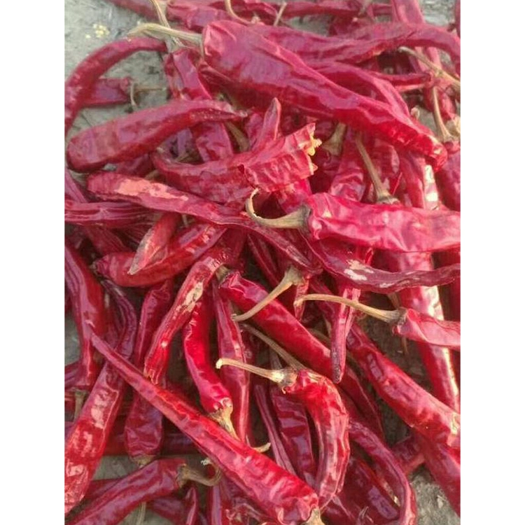 Top Quality Dehydrated Red Whole Chili