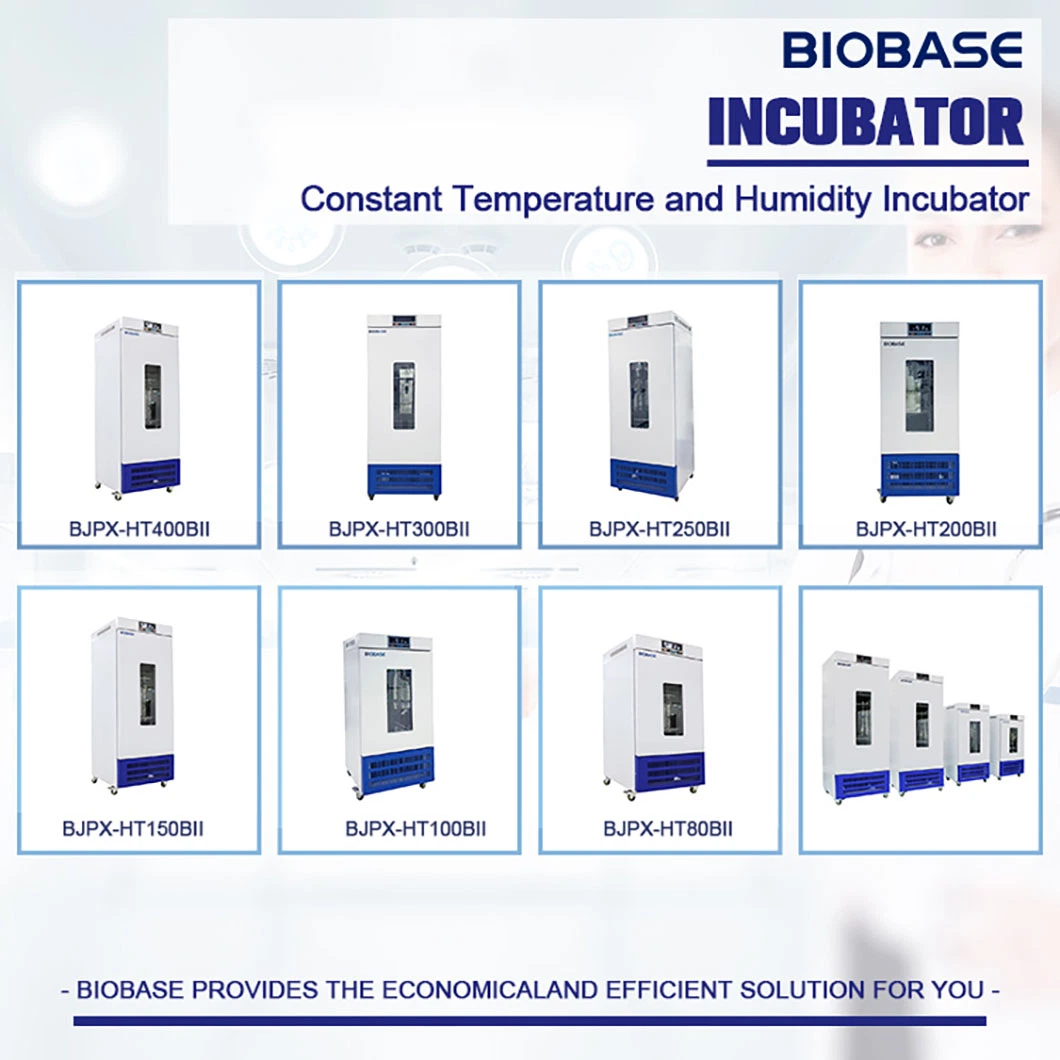 Biobase Digital Heating Mini Dry Bath Incubator for Laboratory