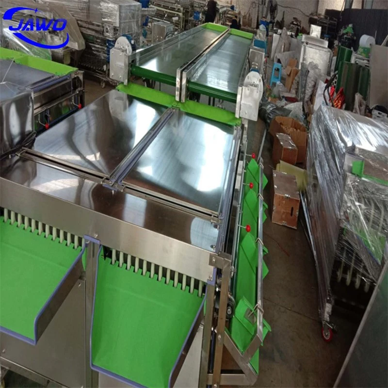 Best Selling Blueberry Grading Machine Fruit Grader Machine with Good Quality