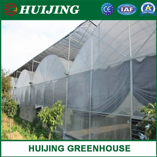 High Quality Multi Span Film Po/PE Plastic Agriculture Green House Solution