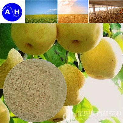 Solubled Amino Acid 52% Powder Fertilizer