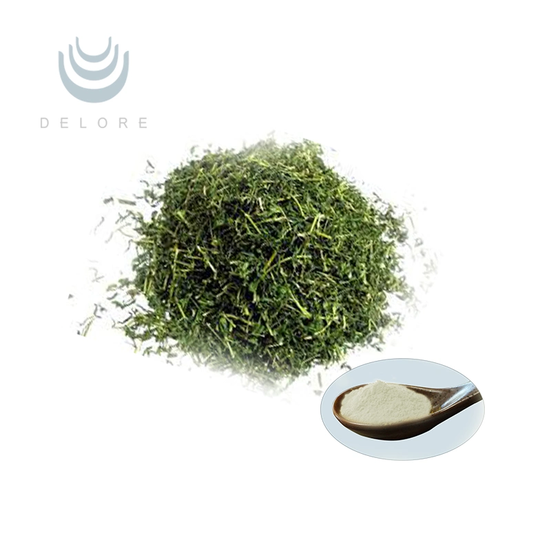 Natural Plant Extract Food and Beverage Additive Vine Tea P. E., Vine Tea Extract Powder, Dihydromyricetin in Bulk