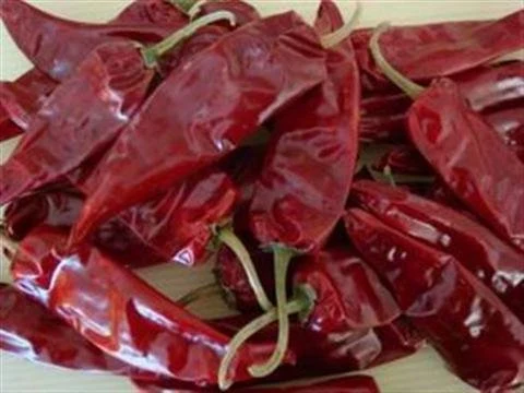 Las materias Yidu Chili aditivo cero 2000 Scoville largo chile rojo seco