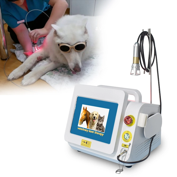 Портативный диодный лазерный Painrevice Vet 980nm Equine Laser Терапевтическое оборудование для коня