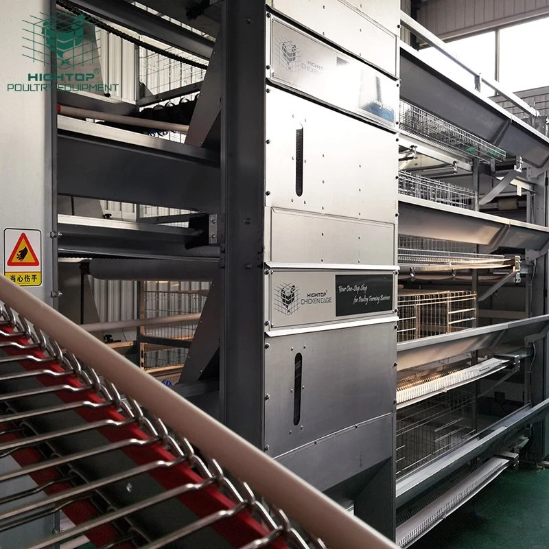 Fully Automatic Layer Poultry Equipment Battery Cage System