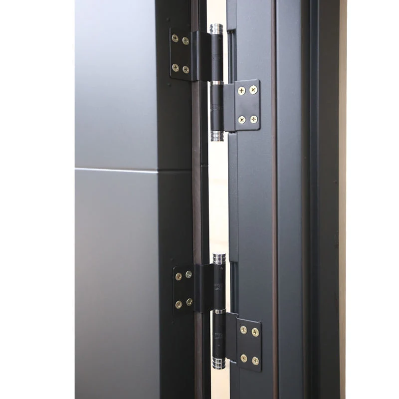 Safety Entry Single Door Entrance Interior Steel Security Exterior Other Doors for House