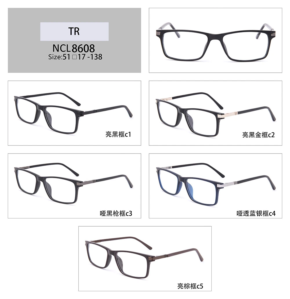 2021 New Style Tr90 Optical Glasses Frame Wholesale/Supplier