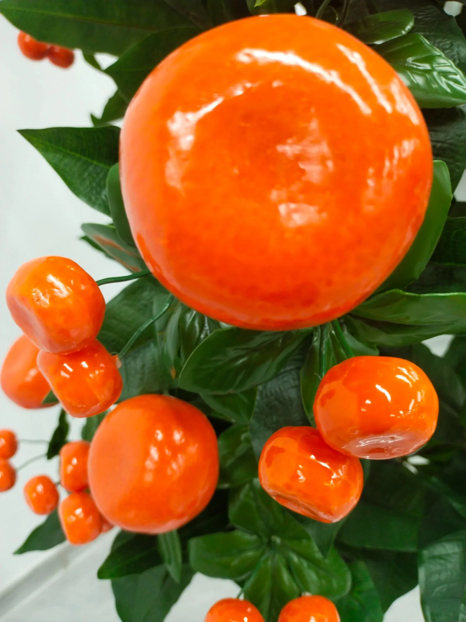 Los descendientes del Golden Jade Pole están llenos de exquisitas Árbol de plantas frutales Kumquat