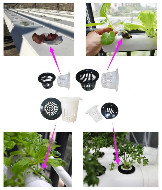 Hydroponics Greenhouse Systems Plásticos plantando ollas netas para plantas