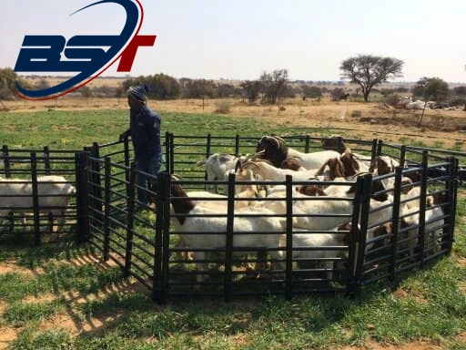 Cattle Yard Panels Sheep Goat Livestock Fence Panel