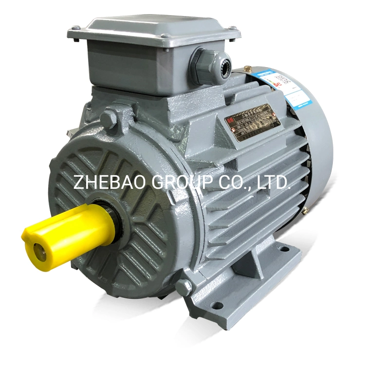 Ie3 High Efficiency Cast Iron Three Phase Induction AC Electric Motor