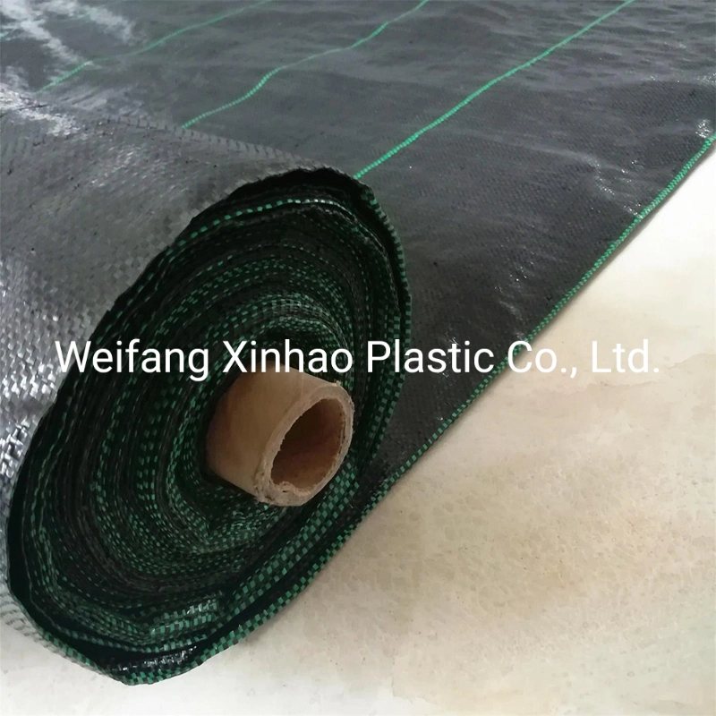 PP Woven Fabric Woven Weed Barrier for Agriculture Around Flower Beds