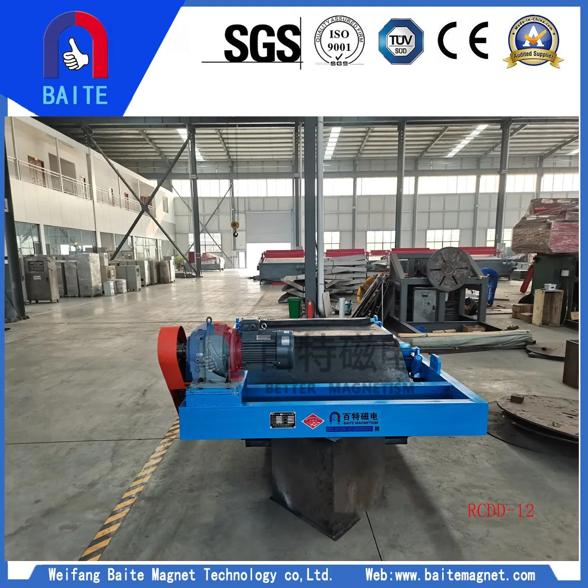 Rcdd-12 Magnetic Separator Self-Cleaning Electric Magnetic