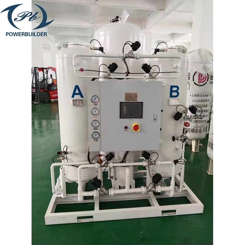 China Supplier Professional Manufacturer N2 Gas Production Equipment Psa Nitrogen Generator for Industrial Use