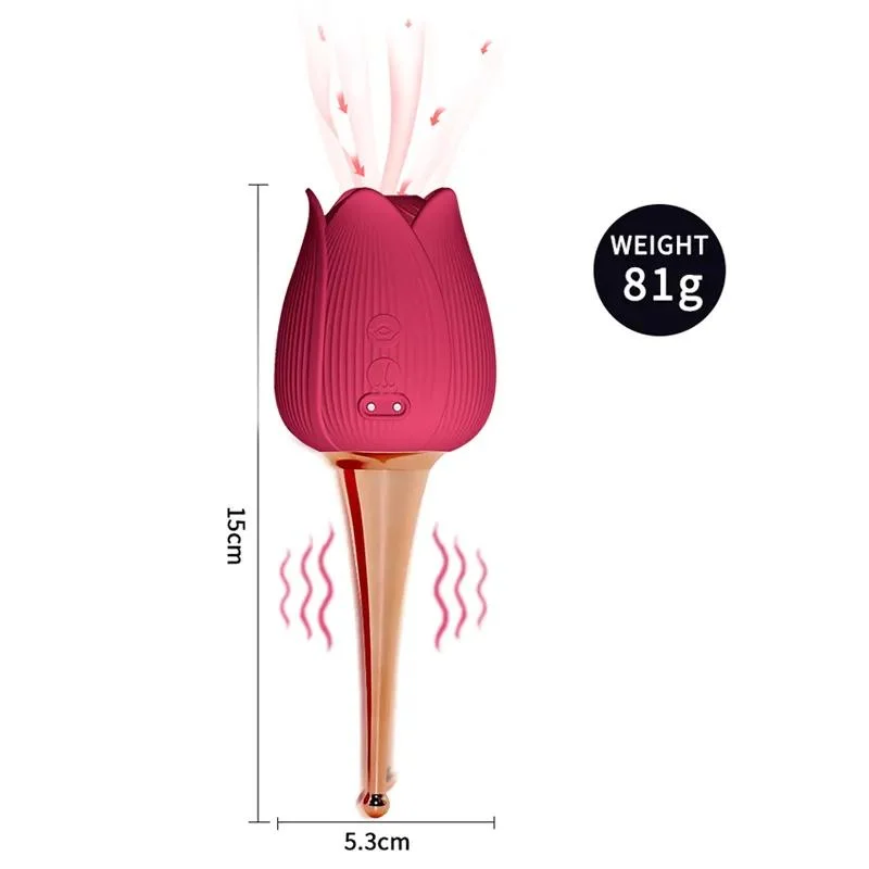 Clitoral Sucking Vibrator Double Head Vibration Rose Vibrator for Women