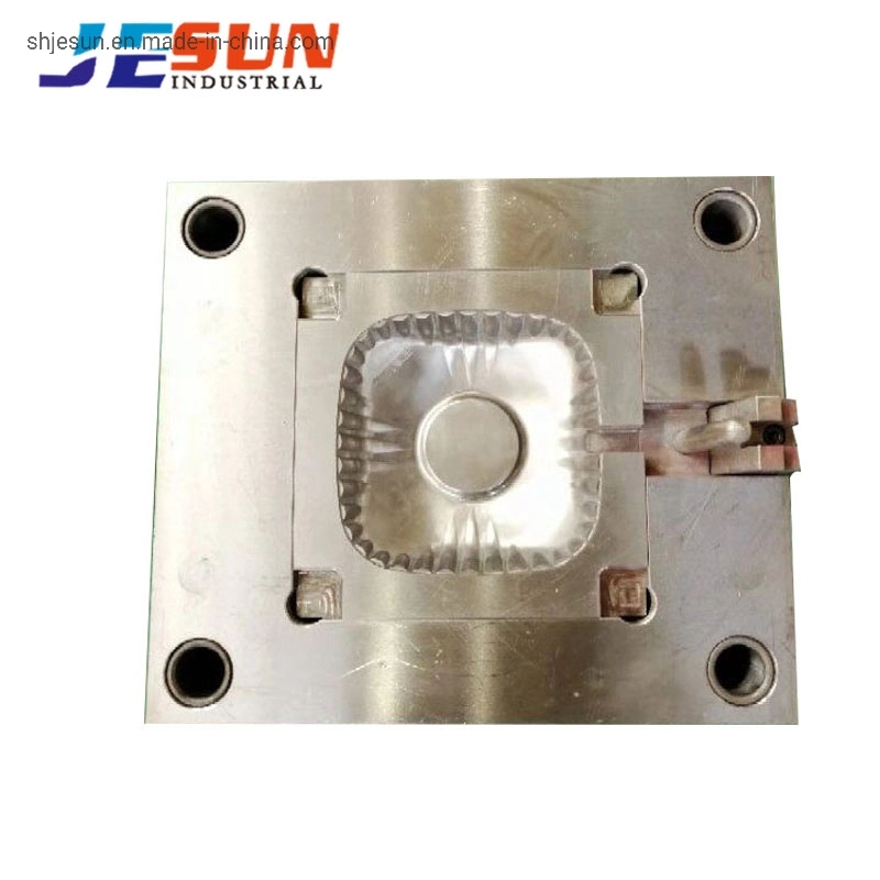 Customized Plastic Moulded Parts of Electric Water Heater by Injection Moulding