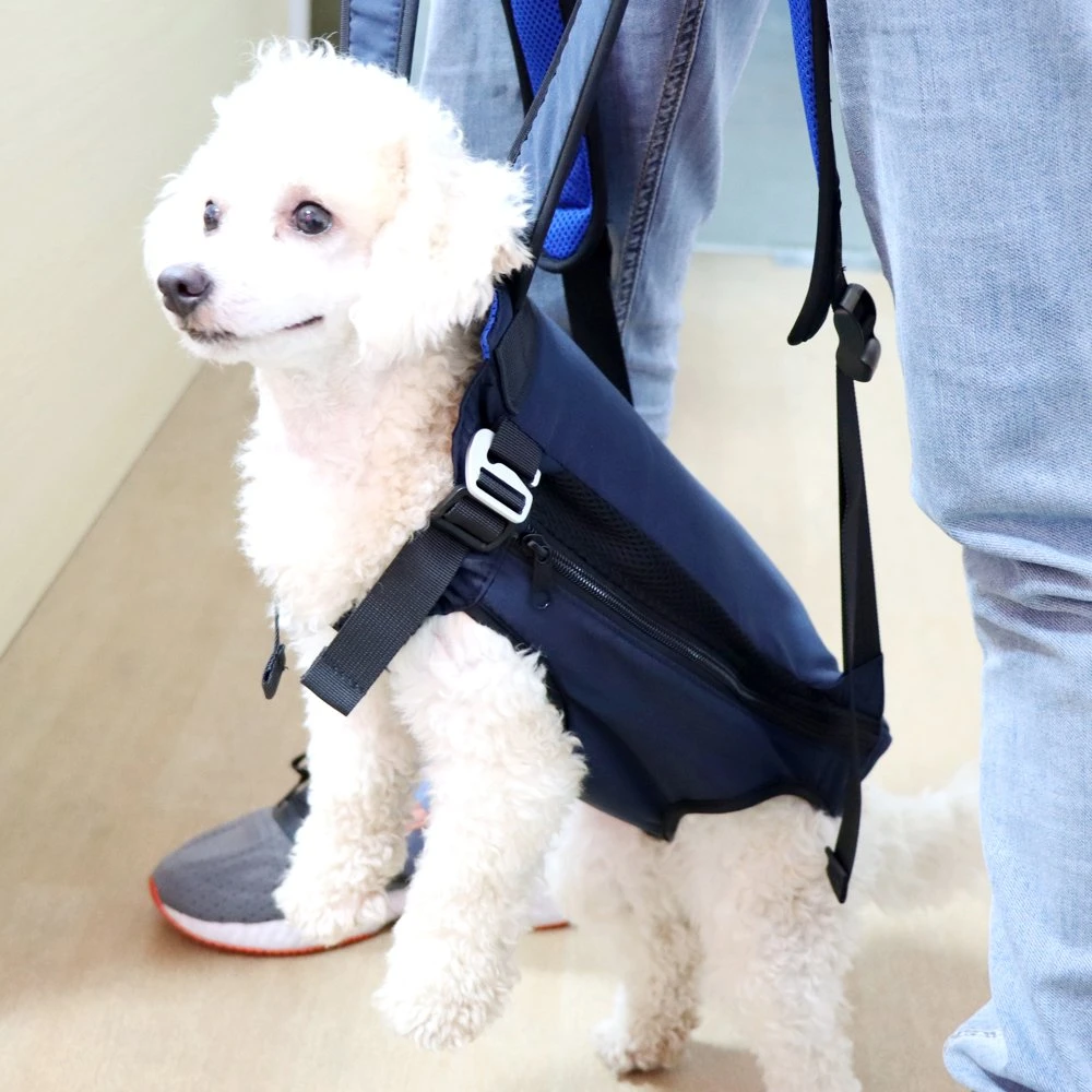 New Products Car Backpack Simple Pet Bag Puppy Backpack for Travel Hiking Outdoor Use