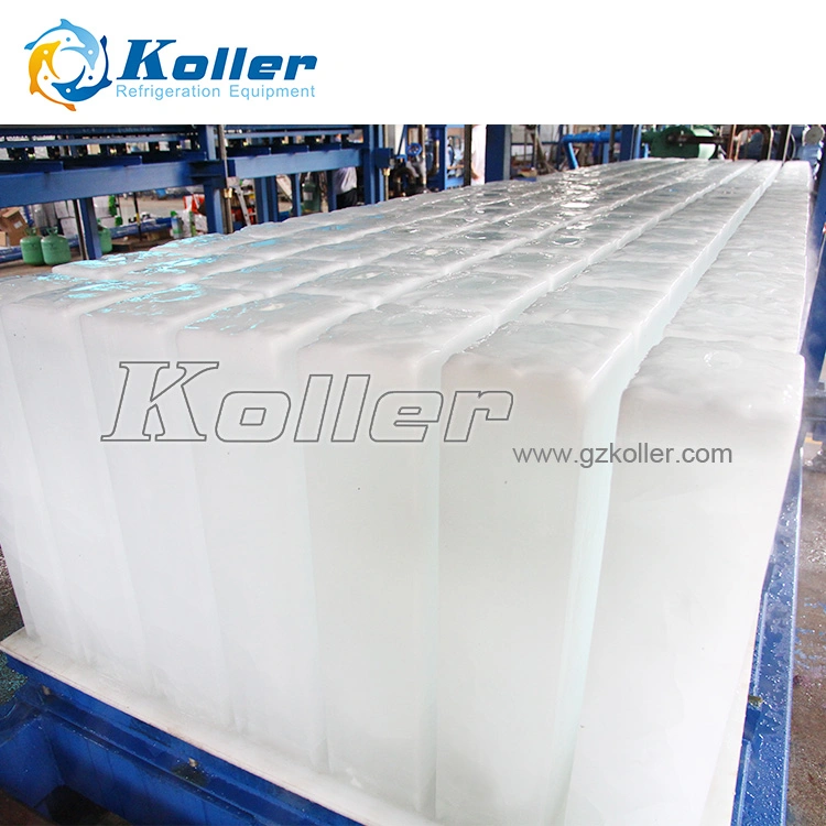 Dk100 Koller Best Price 10ton Ice Block Machine in Africa for Fishery