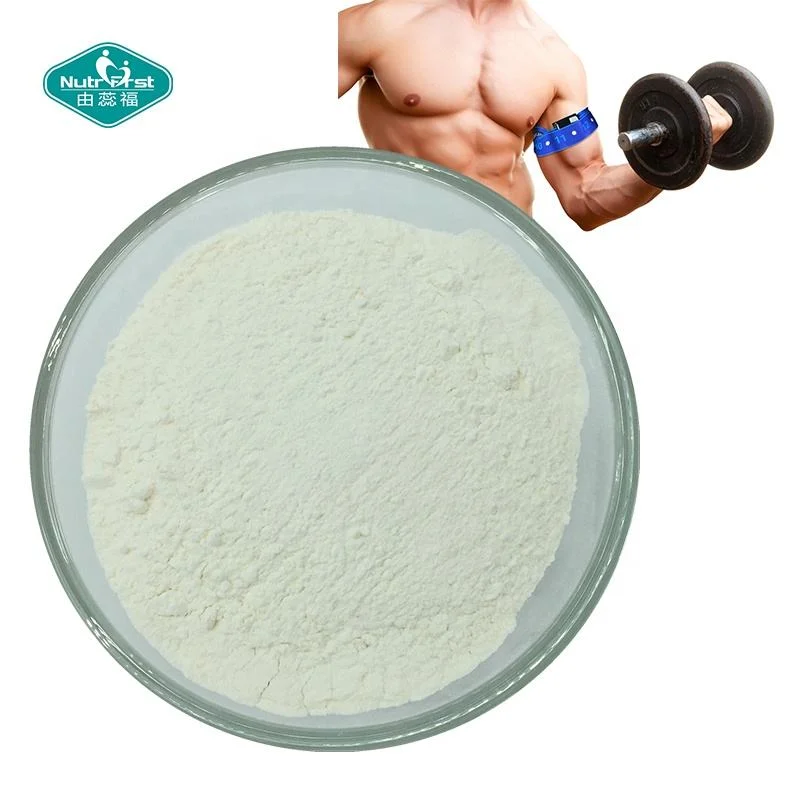 Nutrifirst Manufacturer Supply Supplement Powder Nutrition Water Protein Amino Acid Bcaa Powder CAS 69430-36-0