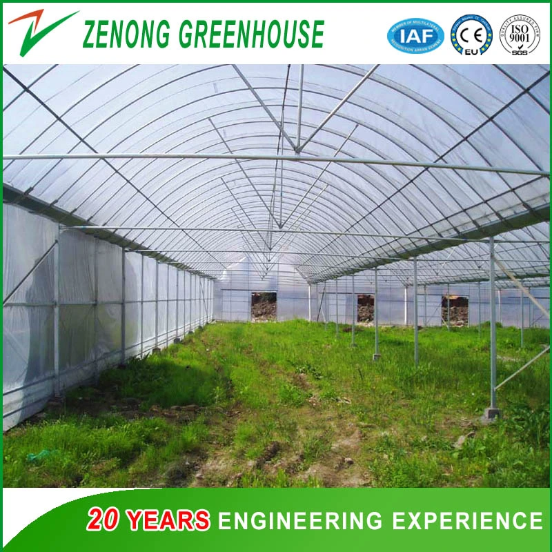 Factory Price Steel Structure Film Greenhouse Materials/Equipment/Cooling Pad/Fan/Irrigation etc.