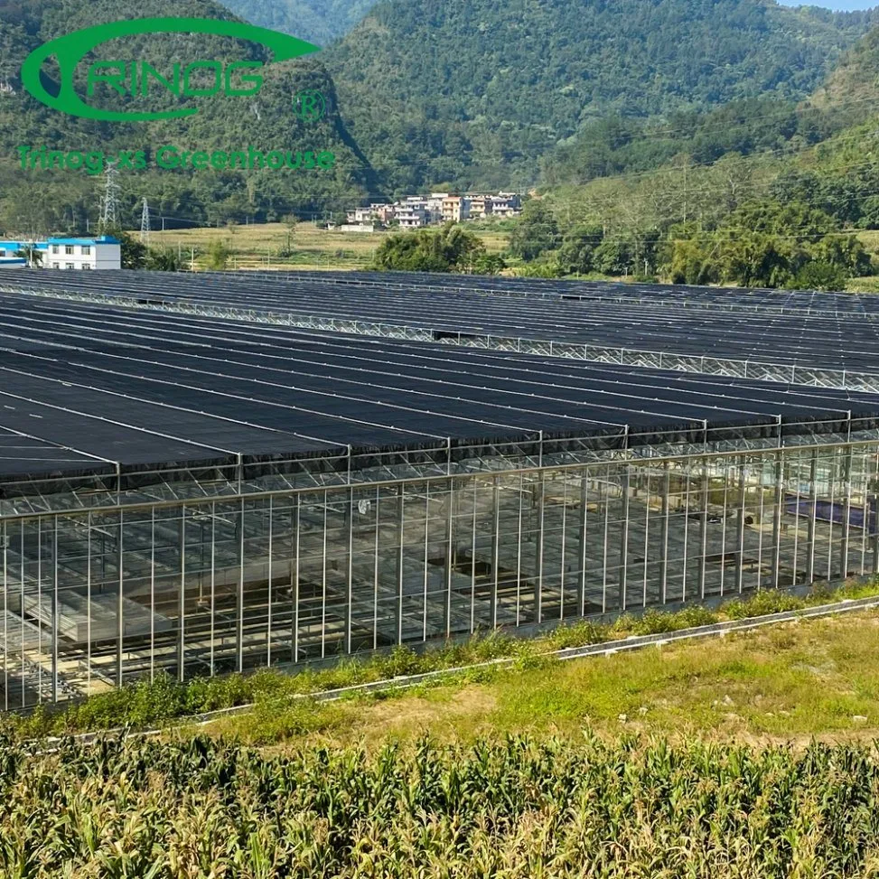 Inner Shading System Cooling Galvanized Steel Pipe Structure Glass Greenhouse for Vegetables