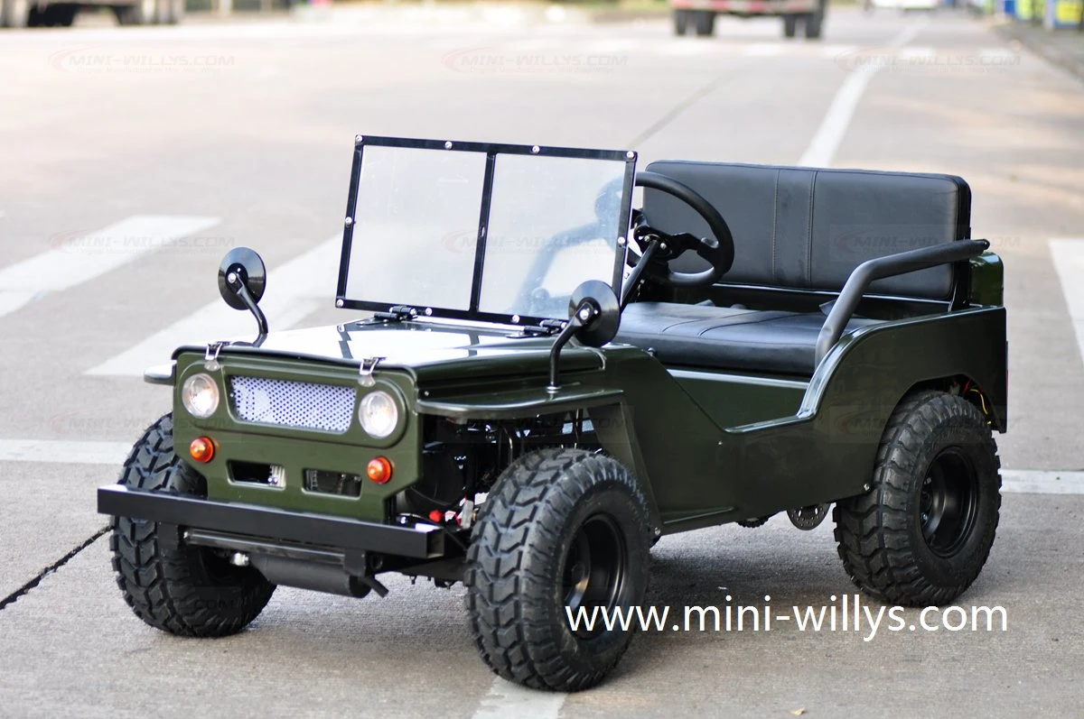 Original Factory 110cc 125cc 150cc 200cc Erwachsene Mini Jeep