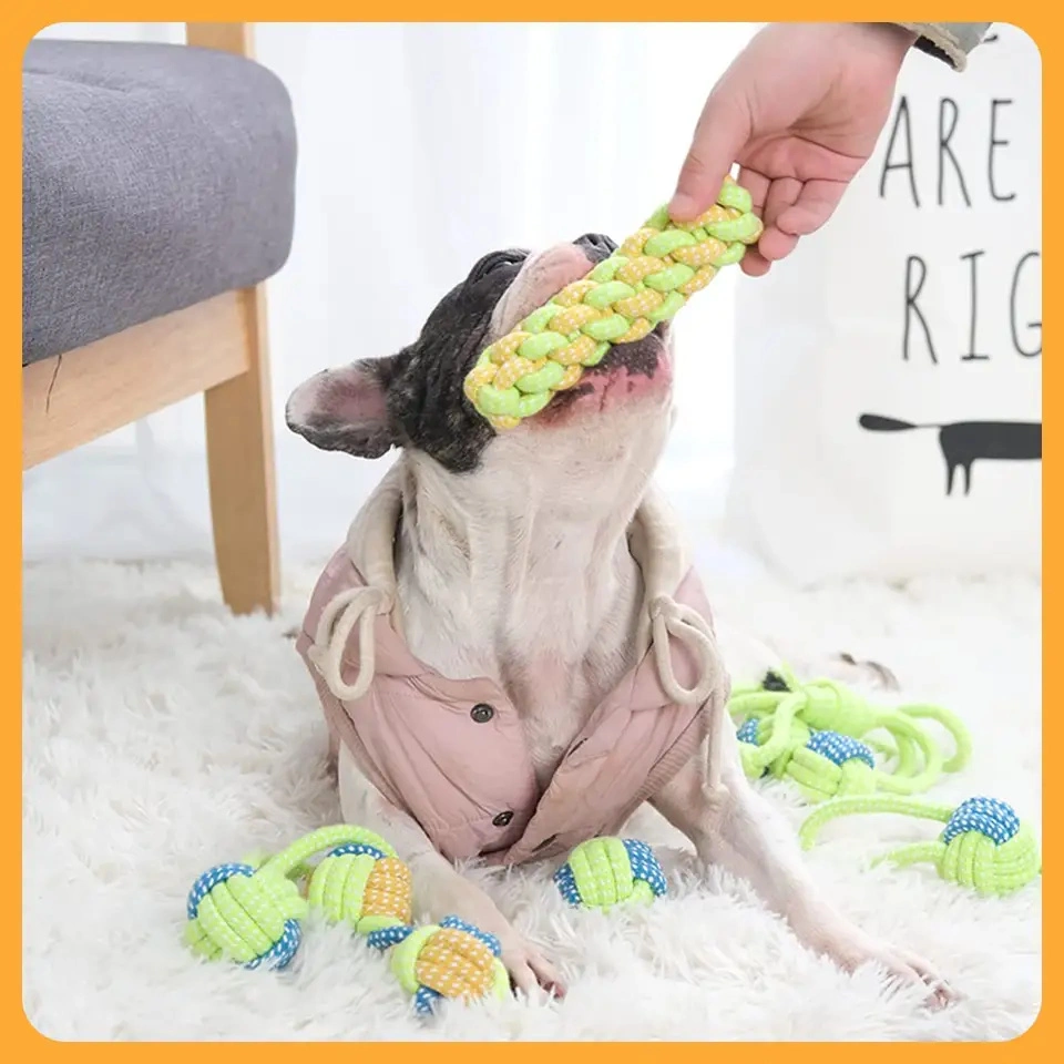 Durable Cotton Rope Dog Interactive Toys 12 Pack Gift Set Free Assortment Pet Chew Dogs Toy