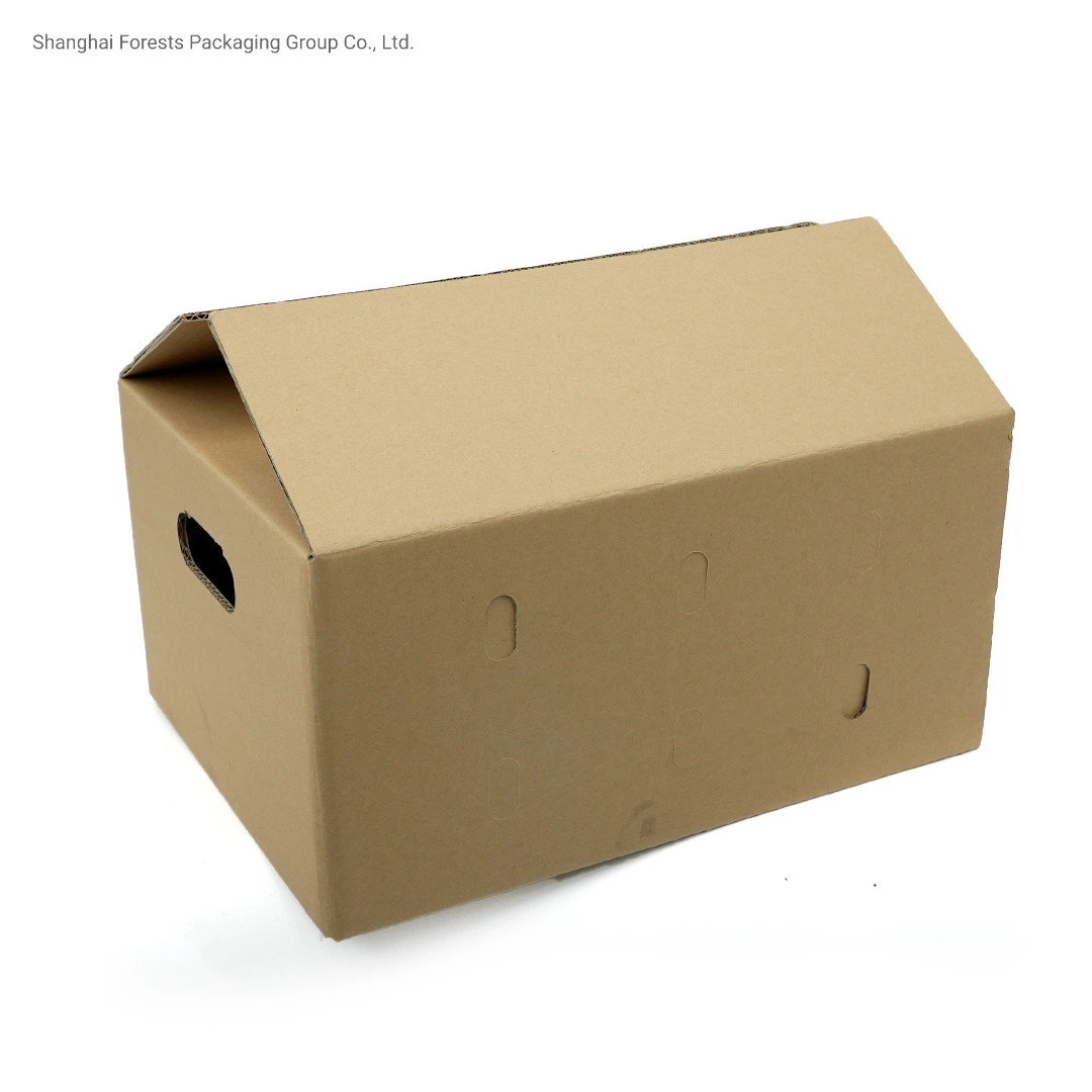 Wholesale/Supplier Corrugated Handle Box Air Holes Shipping Carton Flower Box