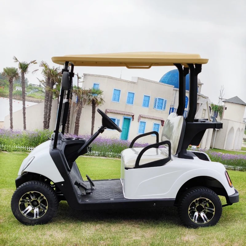 Buena Venta poderosos 4 videntes batería de litio coche de golf eléctrico Vehículo en buggy