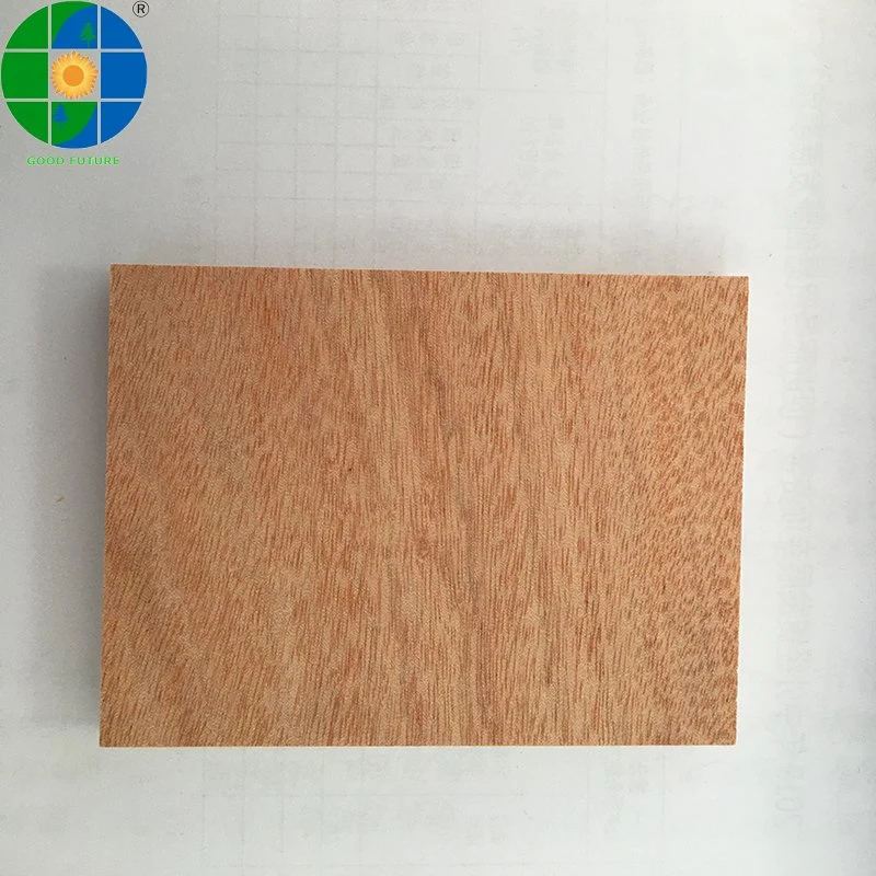 Commercial Plywood for Door Bedroom Bed Side Okoume and Bintango Plywood