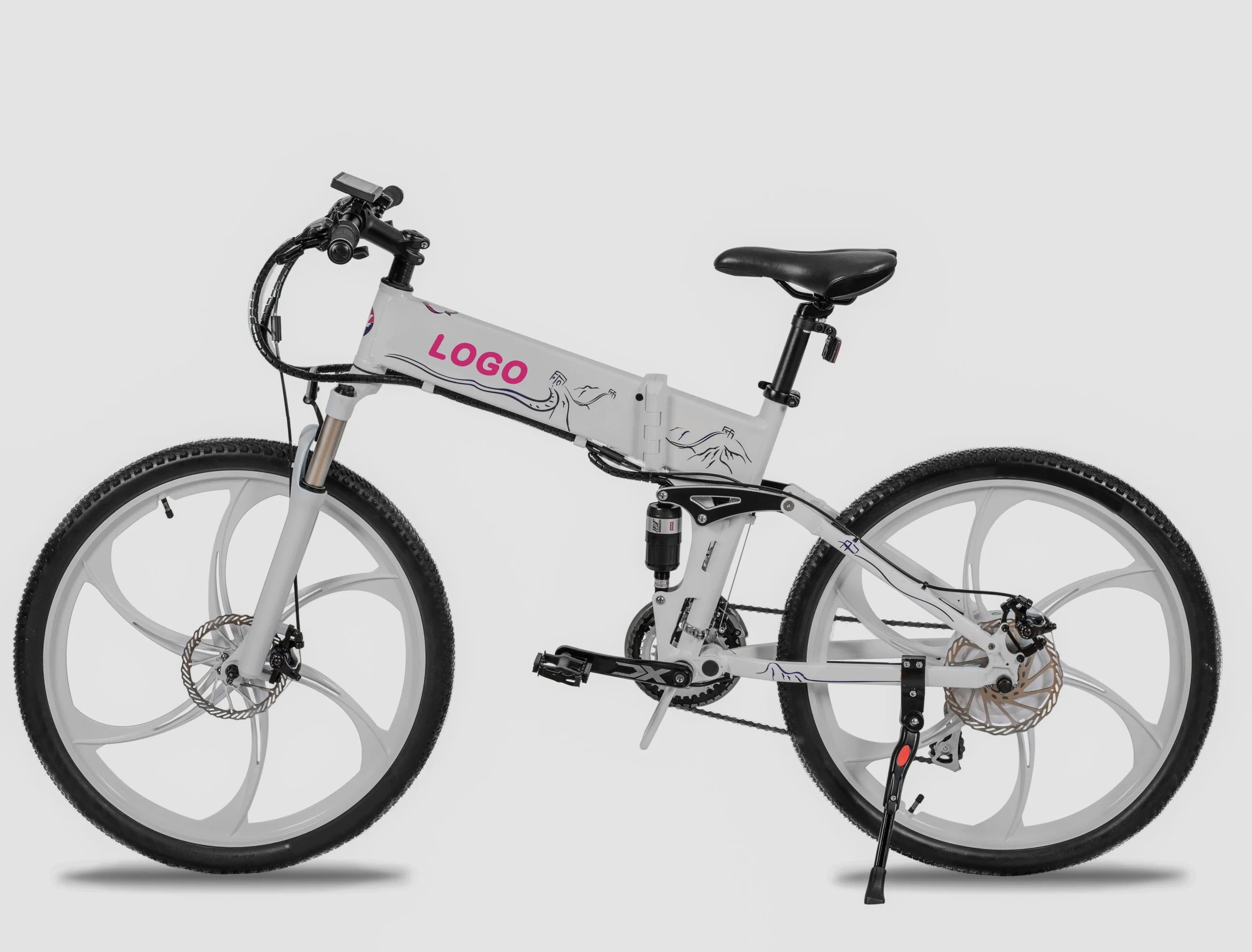 Ce Approval Foldable E Bicycle with Hidden Battery