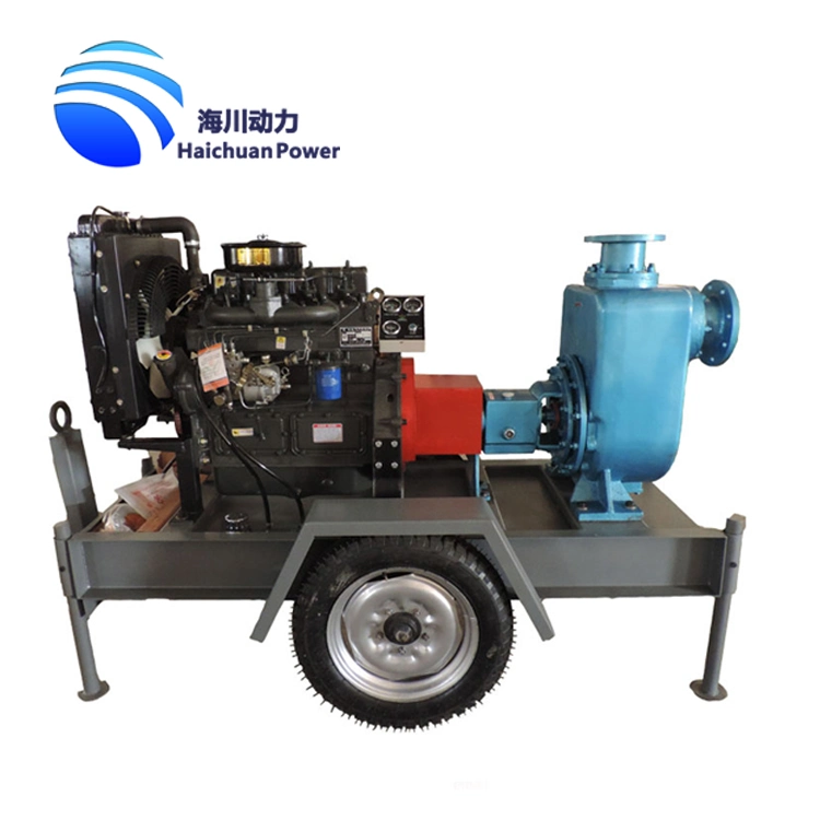 Big Horizontal Split Case Double Suction Diesel Irrigation Water Pump