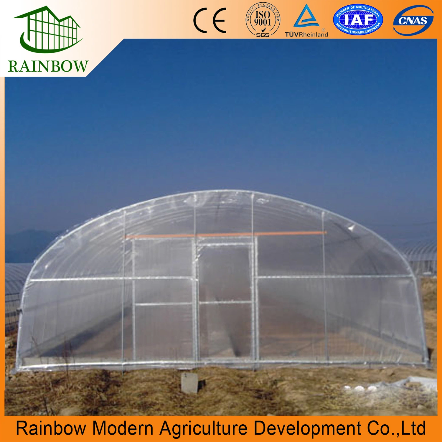 Single Span Film Greenhouse for Vegetable Growing System