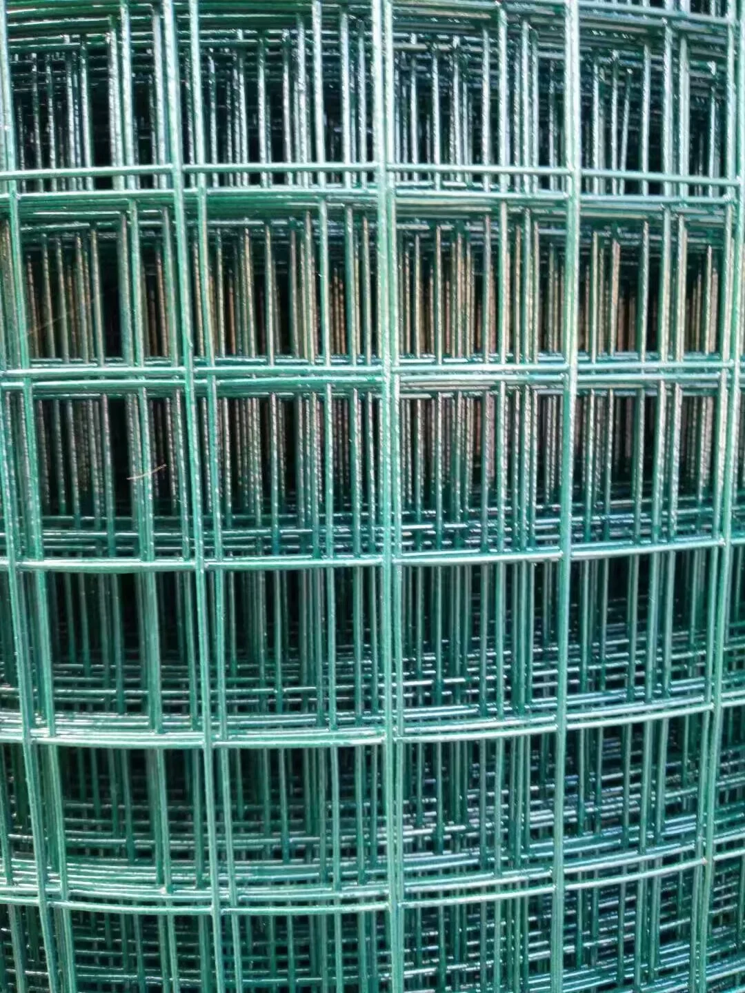 PVC Coated Color Green/Black Roll/Panel Chain Link Wire Mesh