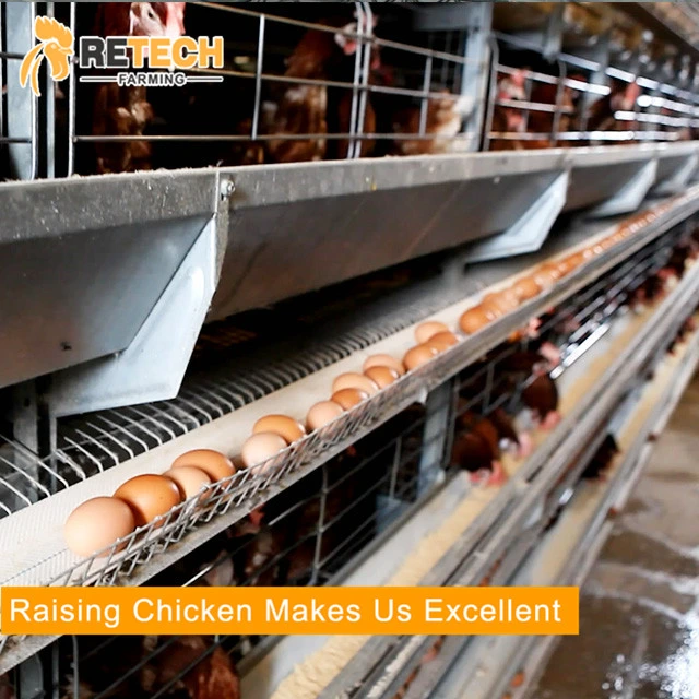 Poultry Farm Equipment Egg Layer Chicken Battery Cages for Sale