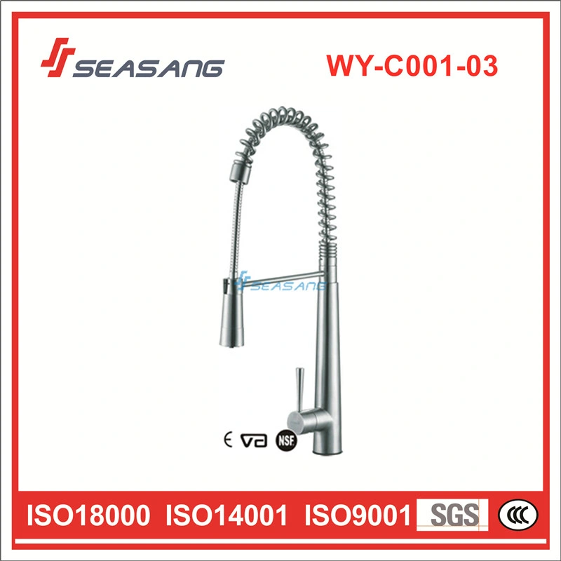 Stainless Steel Kitchen Water Faucet with Spray Shower