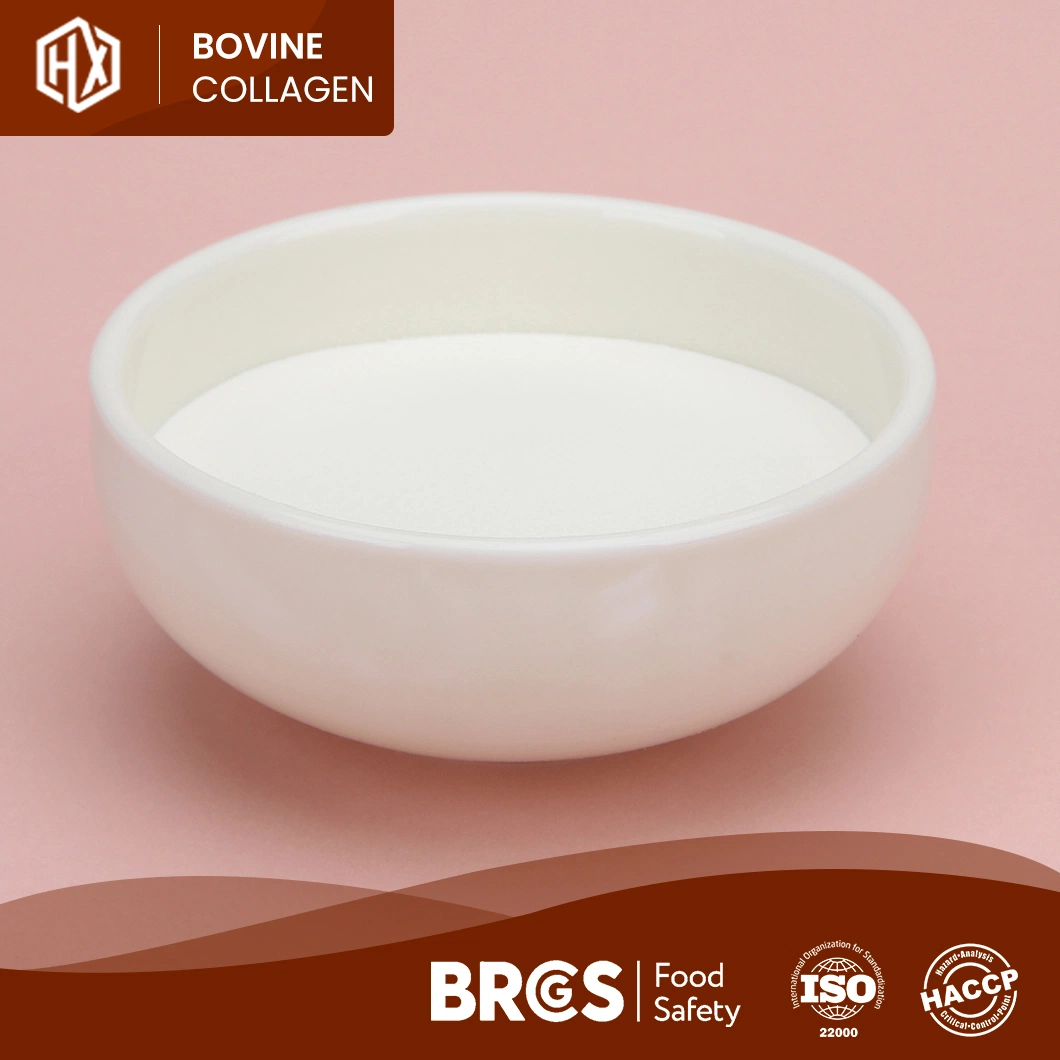 Haoxiang Bulk Pure Natural 90% Protein Powder Food Grade Bovine Skin Collagen Powder China Manufacturers High-Purity Hydrolyzed Bovine Hide Collagen Peptides