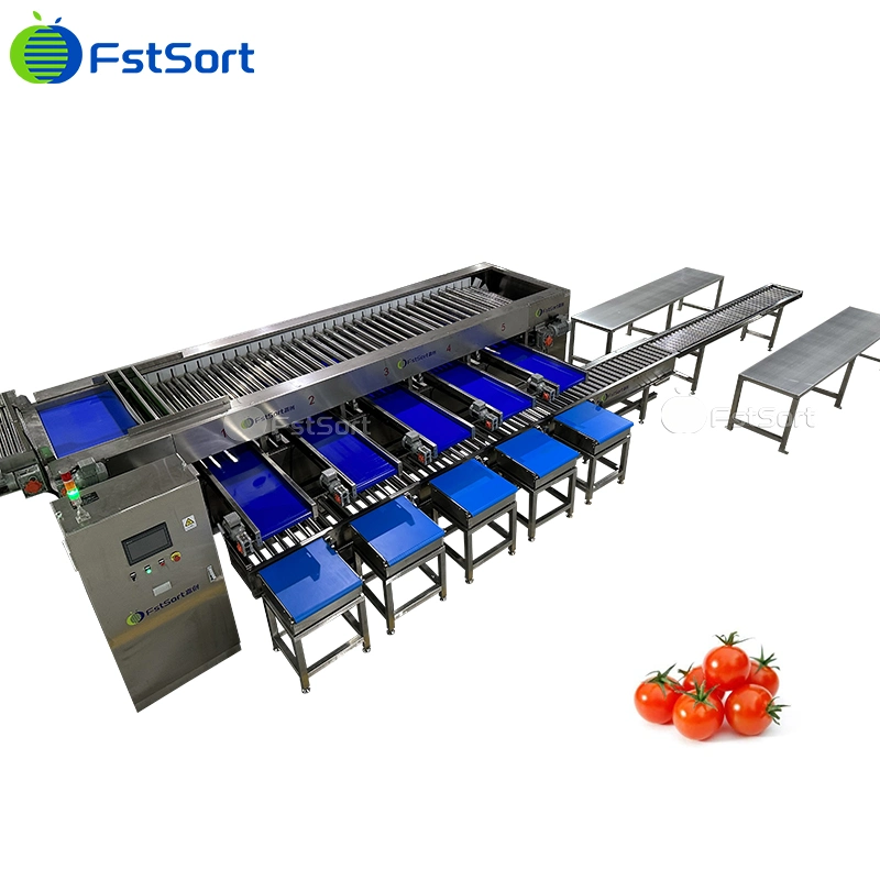 Cherry Tomatoes Grading Sorting Machine Adjustable Size Roller Classifier Cherry Tomatoes Processing Equipment