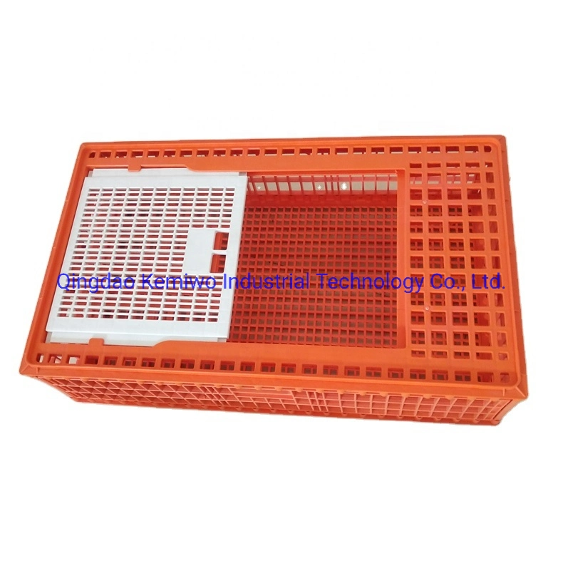 Plastic Poultry Transport Cage for Sale