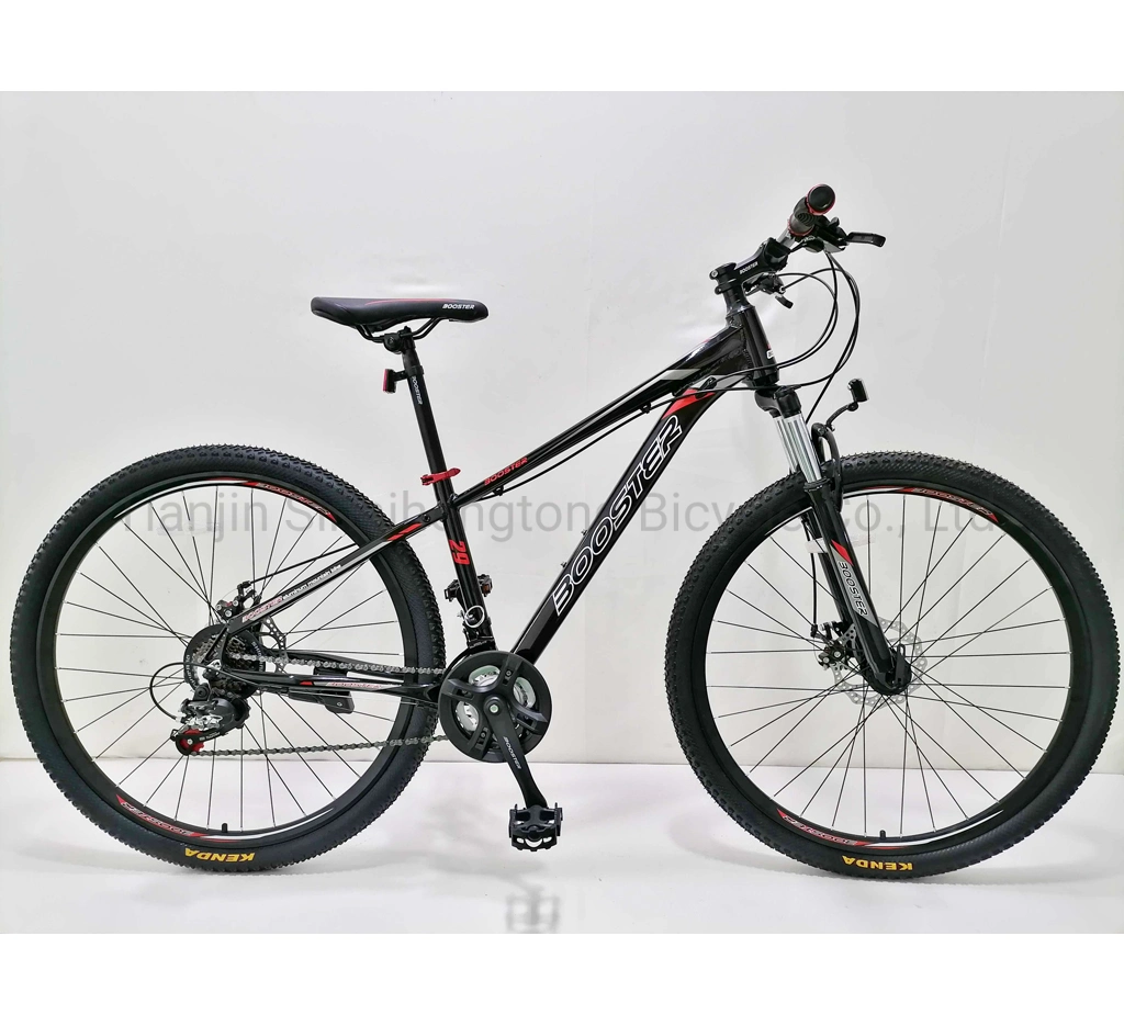 29" 24speeds Hydraulic Disc Brake MTB Bike 29inch Wheels Alloy Other Bike