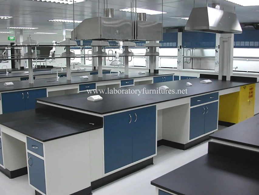 Chemical Resistant Lab Table School/University Lab Furniture Jh-SL208