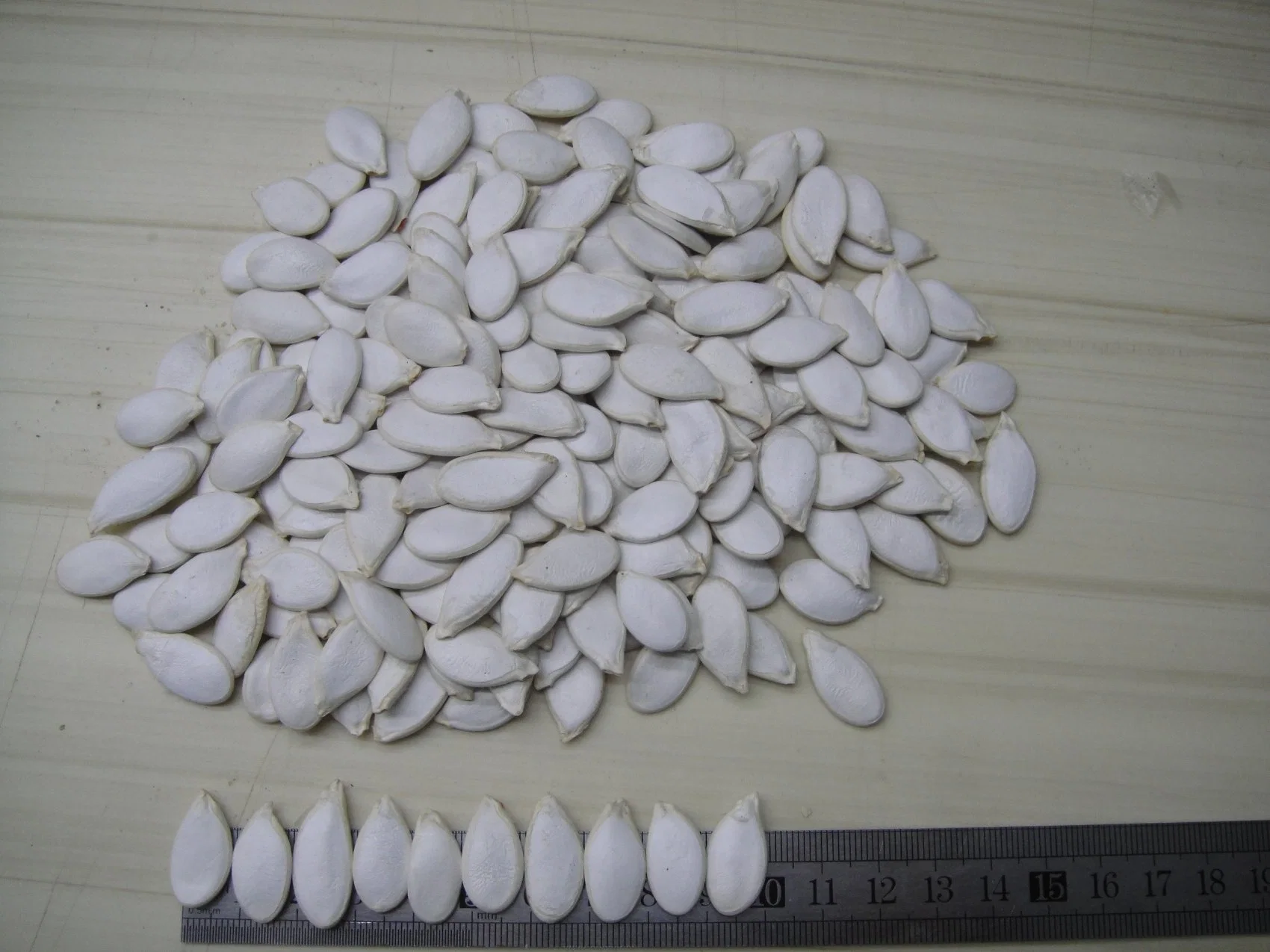 HPS Top Quality Snow White Pumpkin Seeds