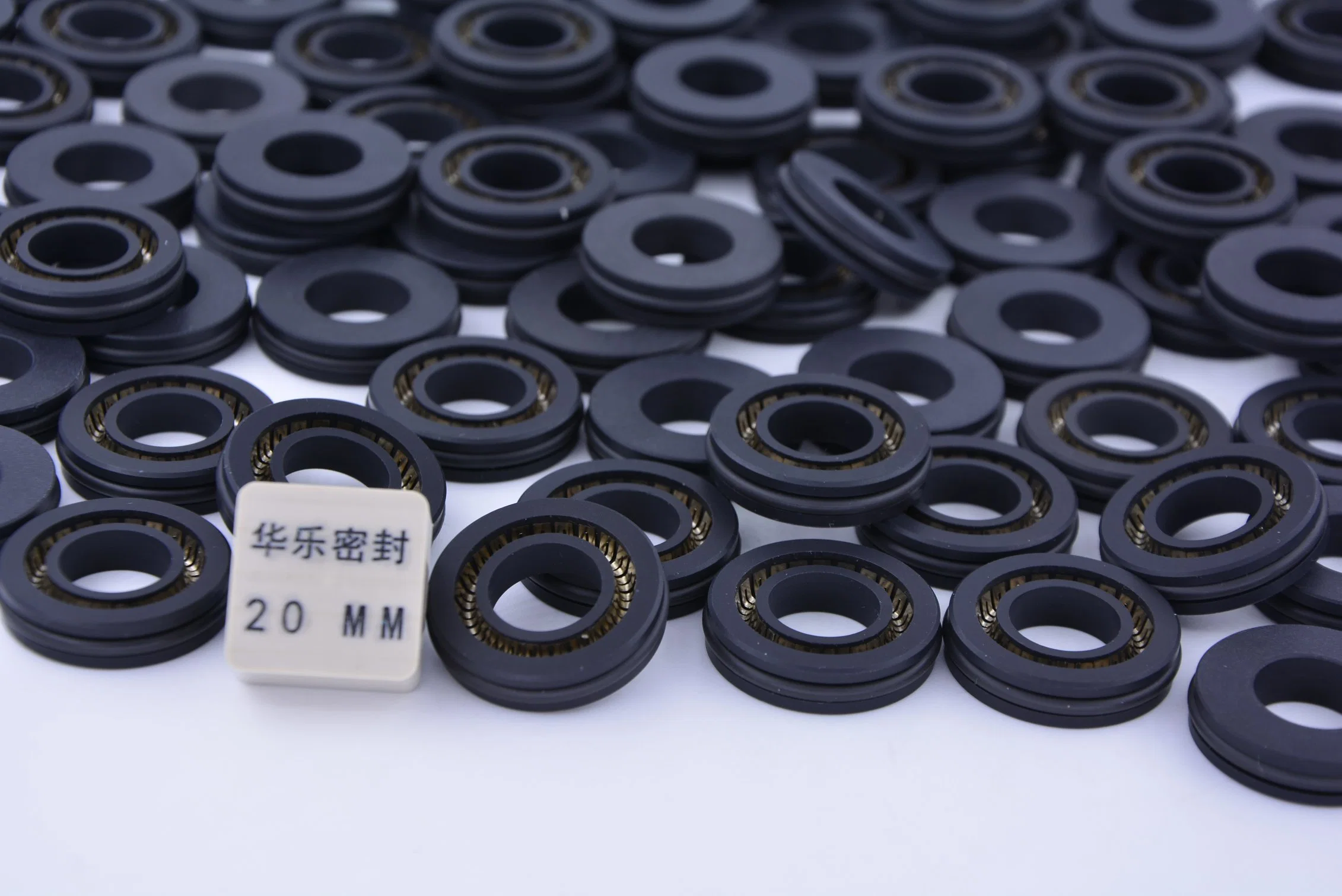 Spring Energized PTFE-Seals for High Pressure Equipment