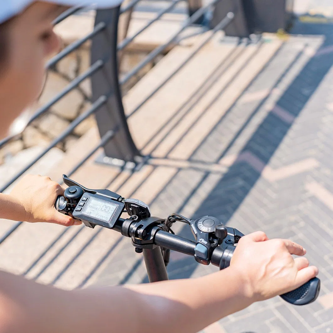 ODM/OEM pour les femmes/hommes 16ah Vélo électrique Vélo pliant électrique