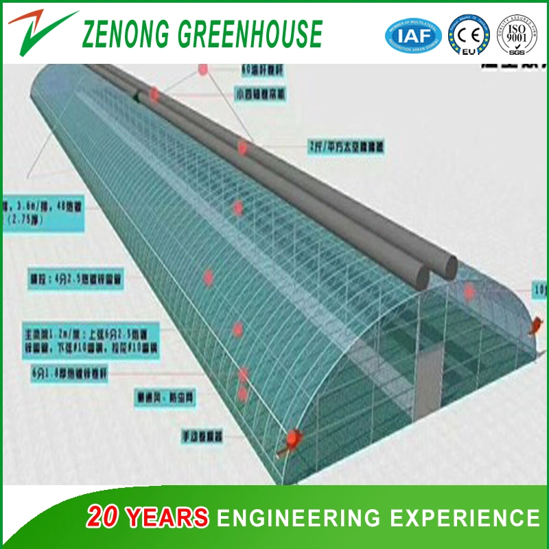 Popular Solar Green House Low Cost But High Yield Sunlight Greenhouse for Anti-Season Vegetable/Flower Growing