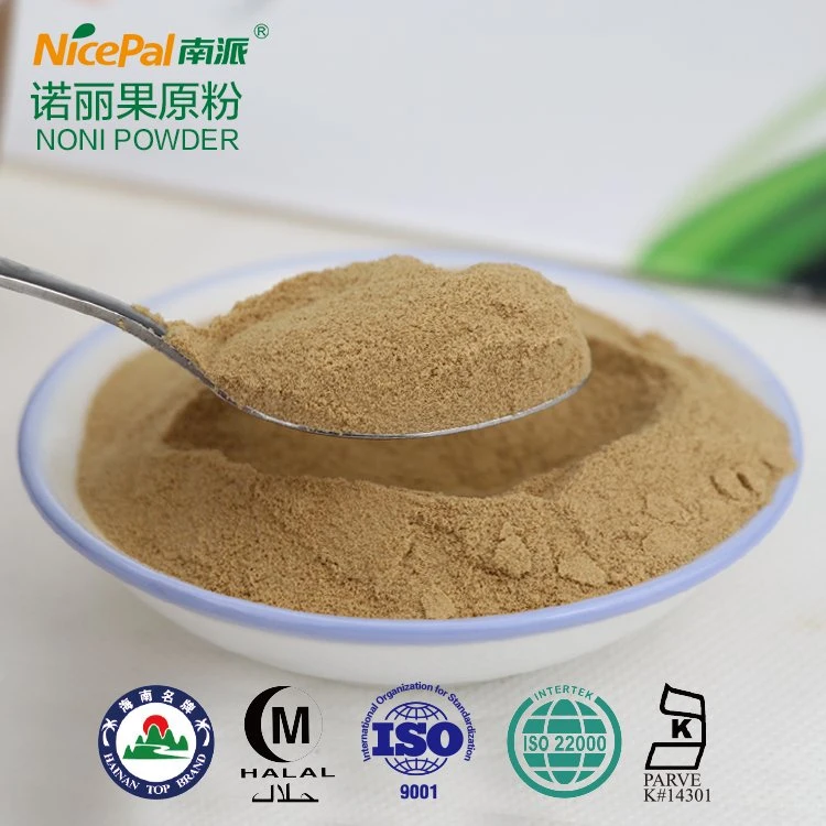 Noni Powder Wholesale