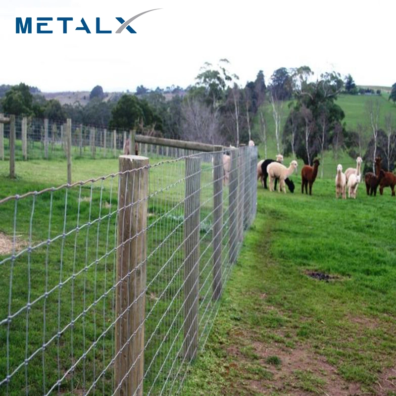 Wholesale/Supplier Hot Sale Cheap Galvanized Sheep Livestock Wire Mesh Rolls Security Farm/Horse Cattle Field Fence for Fixed Knot/Deer/Game