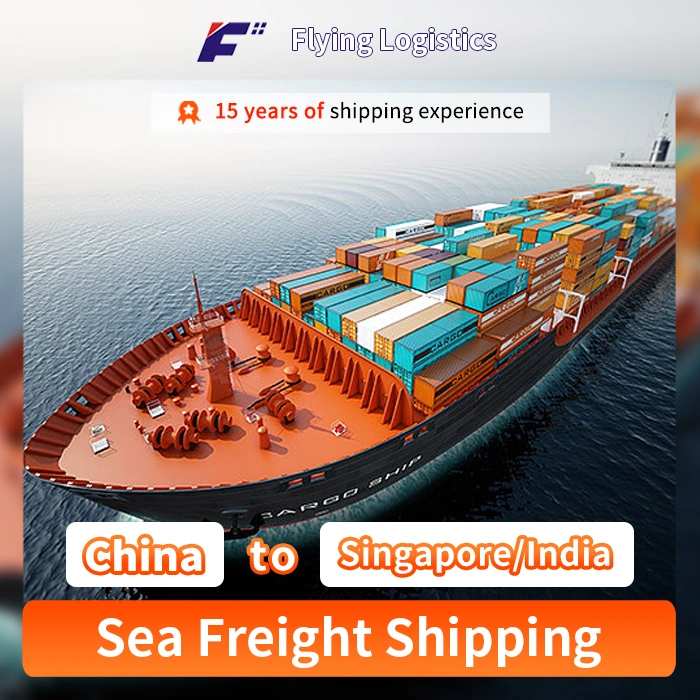 Door to Door DDP/UPS/FedEx Ocean Shipping From China to Singapore/India Agent Freight