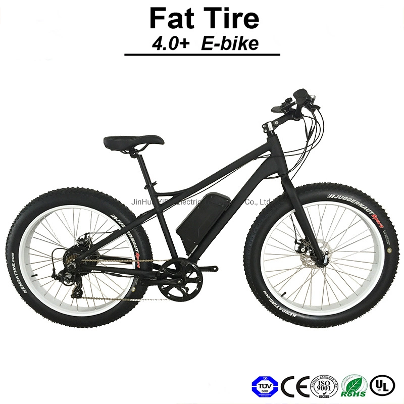 4.0+ Fabricante China 500W de potencia del motor E-bicicleta Bicicleta eléctrica bicicleta eléctrica E-bicicleta (TDE12Z)